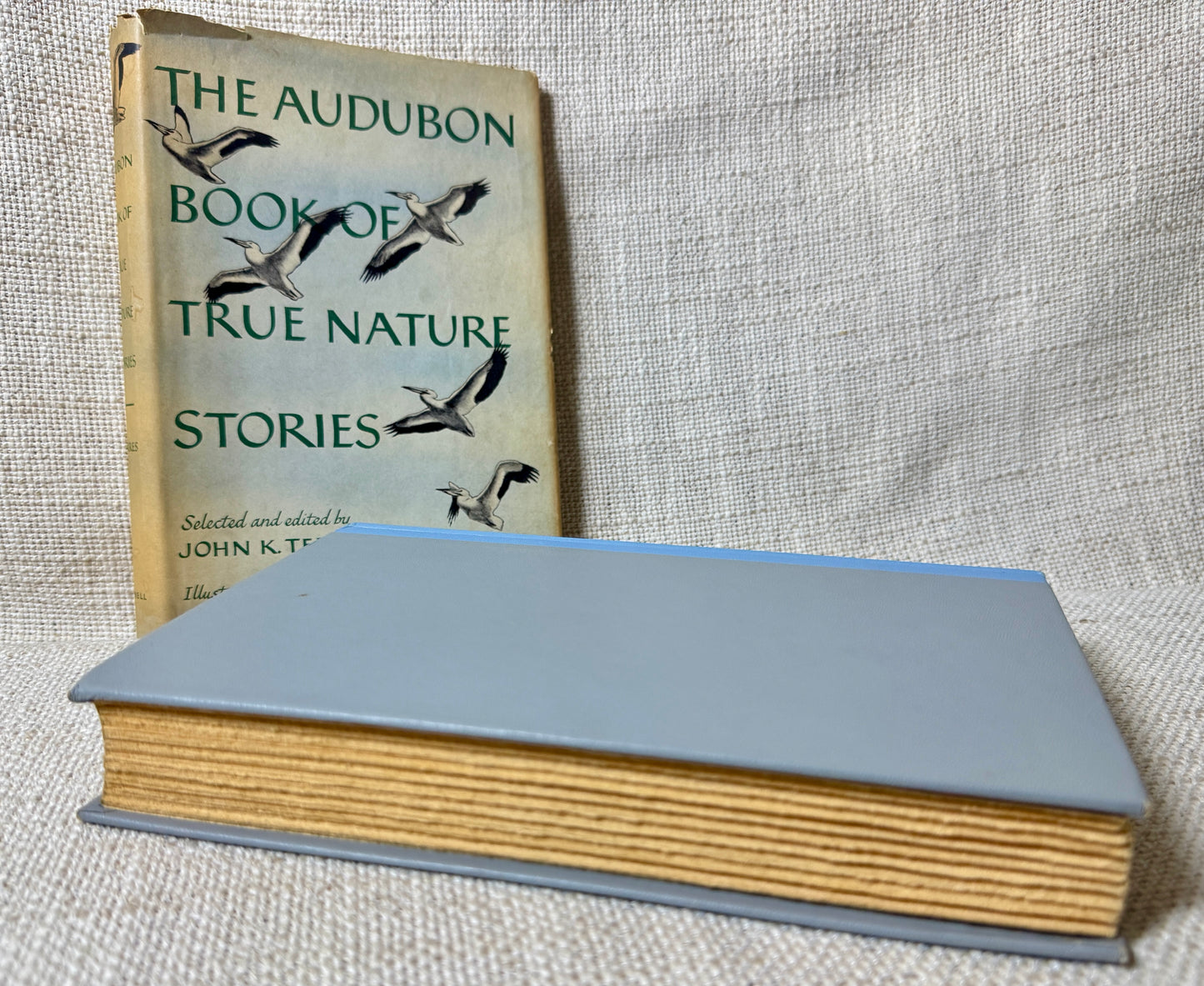 VTG Hardcover Illustrated -The Audubon Book - 1958